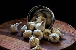 Stock photo of bunch of unpeeled raw medium size Indian garlic kept...