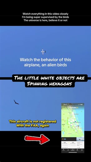 Watch this aircraft closely watch its behavior watch what flies around this is just a random video hanging out with my alien bird friends. The black vultures on the bottom are in charge it believe it or not. We are not the top of the food chain seriously #black vultures#aliens#unidentified object#ufo #orbs