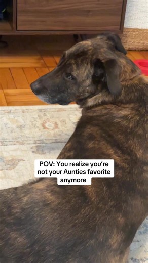 thatsrowsmom (@thatsrowsmom)’s videos with original sound - Rachel Bloom