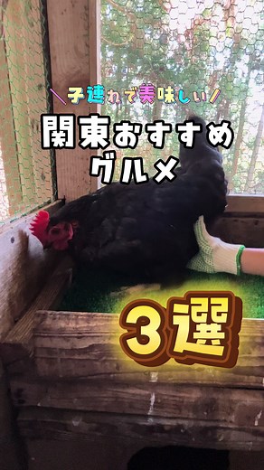 実はこのおすすめスポット… Lemon8で見つけたよ🤩✨ ᗦ↞◃ 〜ᗦ↞◃ 〜ᗦ↞◃ 〜ᗦ↞◃ 〜 ・足立区、葛飾区情報マップ配布中！ ・東京23区、埼玉県東部、千葉県北西部の10月イベント73ヶ所リスト配布中！ ／ @asobi_kantou_mama 子供の目線から見る景色の 楽しいおでかけスポットをお届け！ 葛飾区、足立区発関東おでかけスポット✨ 14歳、11歳、6歳の男の子三兄弟👦 子連れお出かけスポット、子連れランチ、 知育玩具、子育てグッズを投稿中✨ 子供の年齢の差があるこそ三兄弟が楽しいおでかけスポット探索中👀 ＼ いつもいいね、コメント、保存ありがとうございます😍 本当に嬉しいし、励みになってます😌 ▶▶▶ ストーリーではお得、イベント情報…🫶 ◀◀◀ ᗦ↞◃ 〜ᗦ↞◃ 〜ᗦ↞◃ 〜ᗦ↞◃ 〜 ＼子連れで楽しくて美味しい！／ ✨おすすめグルメスポット3選✨ 📍東京都葛飾区高砂３丁目２７−１４ 【BakeShopFactory（ベイクショップファクトリー）】 営業時間：10:00-17:00 定休日：日、月、火曜日 アクセス🚃： 京成本線「京成高砂駅」より