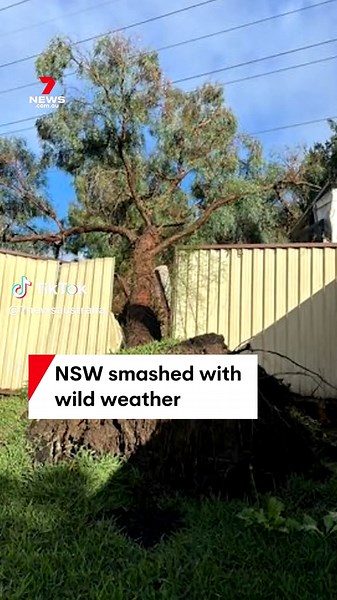 Tonight on 7NEWS: NSW continues to be battered by wild weather, with 160mm of rain in the past 24 hours. #sydney #rain #weather #storm #flooding #7NEWS