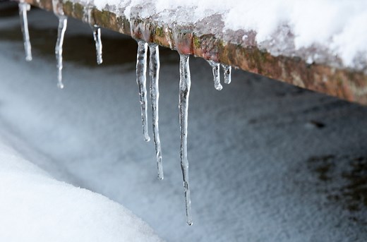 Do you like to wear shorts in the winter? Here’s what a doctor wants to tell you