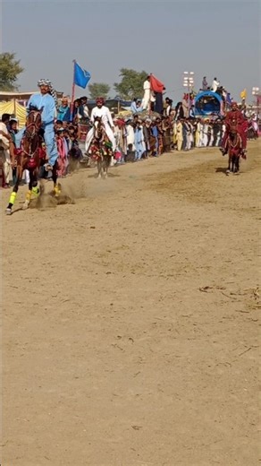 مَنْظَرٌ خَلَّابٌ لِخُيُولٍ جَمِيلَةٍ فِي سِيرَا