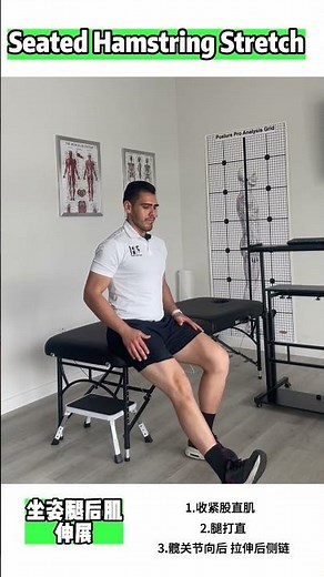 Seated Hamstring Stretch｜Posterior Thigh Mobility & Hip Flexibility