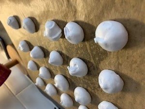Meringue Drops (whisking method)