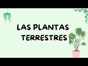 AMBIENTE Y TIPOS DE PLANTAS (TERRESTRES, ACUÁTICAS Y AEROTERRESTRES)