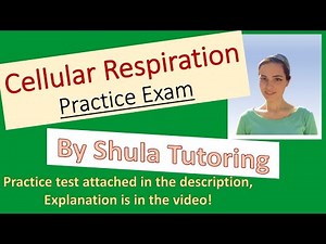 Cellular Respiration Practice Test with Answers and Explanation