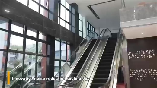 Commercial 30 Degree Subway Escalator for Airport Gym Hospital Mall and Outdoor Applications for Escalator Staircase