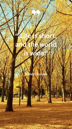 ✨ Find your perfect stay with HI and make your next adventure unforgettable. Whether you’re looking for city vibes or nature escapes, we’ve got hostels in amazing destinations worldwide.   Search now and start planning your trip: Link in bio. #hihostels #travelquotes #globalconnections #adventureawaits #exploretheworld #genztravel #hostellinginternational #sustainabletravel | Hostelling International | Facebook