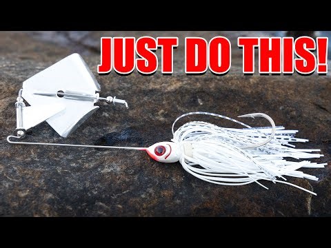 It's Actually Pretty Easy to Catch Bass in the Fall