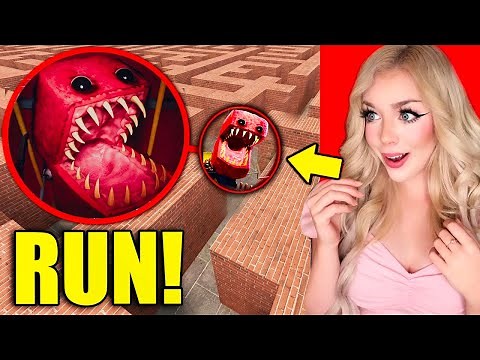 If You See BOXY BOO in a MAZE... RUN!! (*NEW Poppy Playtime 3 MONSTER*)