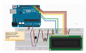 Cerebriti - Demuestra lo que sabes