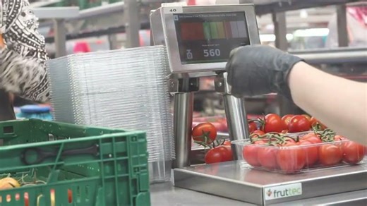 ERP Hortofrutícola Fruttec Control: Soluciones Industriales | Inforges | Marcos Llarena Quintero