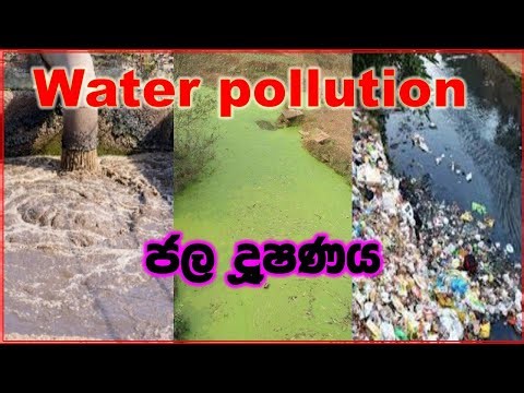 water pollution | ජල දූෂණය