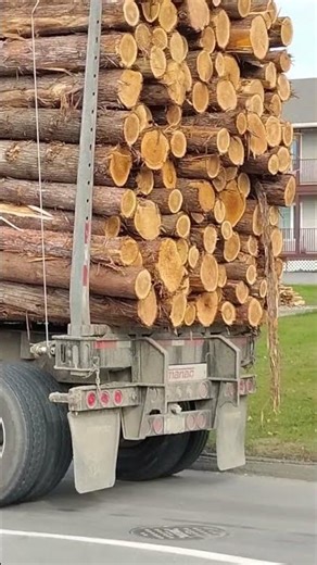 In Jackman, Maine, Log Trucks Run Through This Little Town All The Time