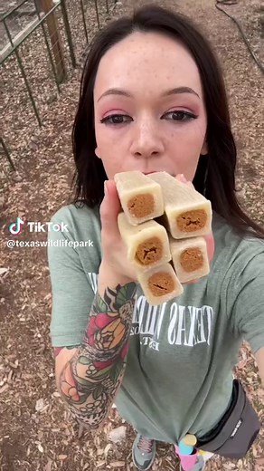 Texas Wildlife Park (@texaswildlifepark)’s video of big cats