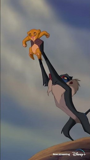 Circle Of Life (From "The Lion King") Disney100