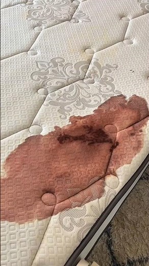 BENNETT READ SPONONO