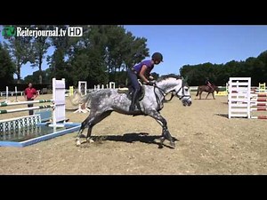 Springen: Turnierbezogene Ausbildungstipps von Peter Teeuwen