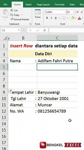 insert Row atau baris otomatis di antara data pada excel