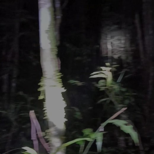 Mata Menyala Merah: Efek Lucu di TikTok