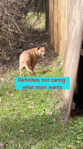 On today’s episode of Trimble gives zero F’s…We call this one the Road Less Traveled or Mom’s Muddy