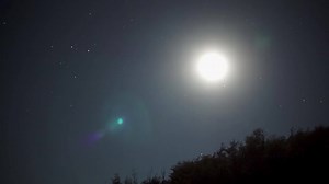 26K views · 142 reactions | Outstanding night fishing with mice patterns after dark in Chile with our guide Pancho. This incredible footage was shot on a Sony A7S camera well after darkness had fallen (even though it looks like twilight). Some of the best fishing in Patagonia, check them out at: www.chiletrout.com Orvis Fly Fishing ChileTrout RIO PRODUCTS Tacky Fly Fishing Outcast Sporting Gear | The New Fly Fisher | Facebook