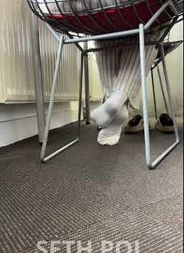 Feetplay white socks in library (FULL VIDEO IN DESCRIPTIONS)