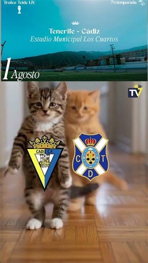Nos vemos el 1 de Agosto😉 ‪@CDTenerifeOficial‬ #laliga #laligahypermotion #pretemporada #gatos