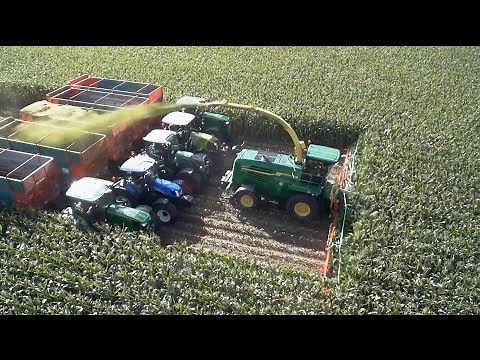 Chopping 20 rows of corn with Kemper
