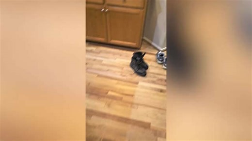 Three brothers can't contain excitement when parents surprise them with first-ever house | Happily TV