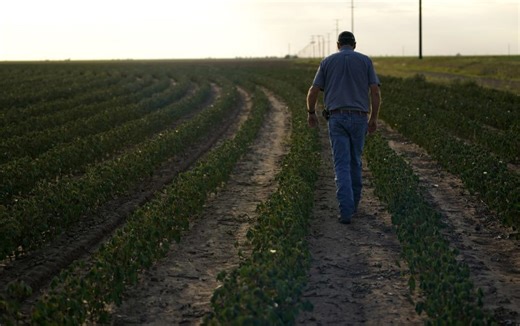 Fuel and fertilizer price spikes leave Texas farmers under pressure