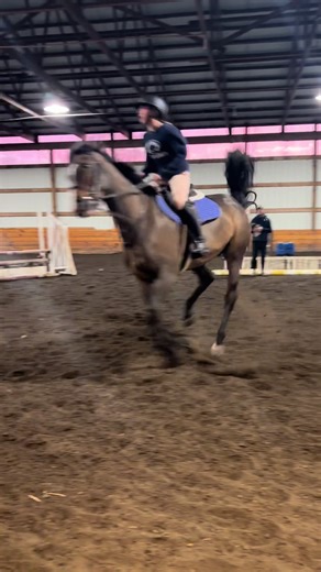 😜😜😜silly stuff from our lesson yesterday #horses #fypシ゚viral #equestrian #horsesoftiktok #horsesontiktok