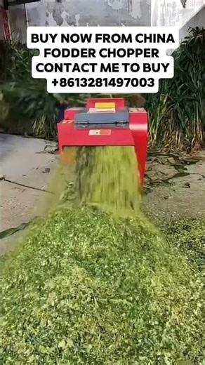 Fodder Chopper Machine | Easy Feed Cutting for Cattle, Goats & Sheep #italy #germany #usa #spain