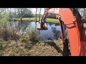 BRUSH & SNAKES! Pond Bank Clearing With The MTL XC5!