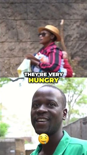 HUGE Birds of Prey Eat 6000 CHICKS Weekly! #shorts