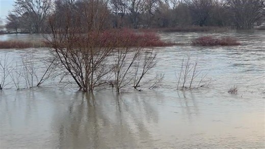 7:35AM 12/13/25 Yakima River, West Richland WA Major Flooding event. | Tony Ott