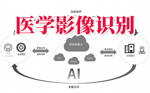 不愧是B站最好最全的医学分割 医学影像识别技术教程！人工智能中的医学，老师不教你的知识本课程统统告诉你，讲的太透彻了！_AI_人工智能_计算机视觉_医学影像识别