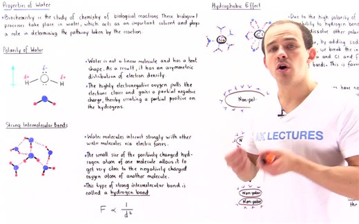 Andrey K - Biochemistry - Introduction to Proteins