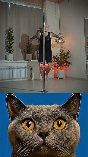 Bro eggs was smashed #cat #memes #funny #trending