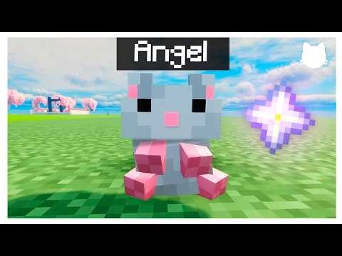 🤩MI NUEVO HAMSTER!