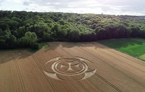 Símbolo gigante em plantação intriga franceses; confira vídeo