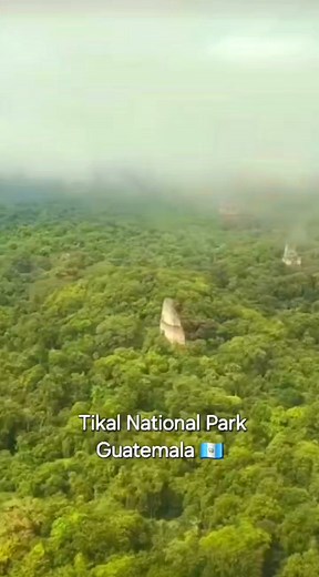 44K views · 1.1K reactions | Tikal National Park Guatemala  #mayanruins #tikalnationalpark #tikal #tikalguatemala | Octavio Velazquez lozano | Facebook