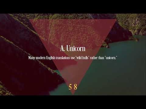 01/04/2026 - Dr. Timmy Ray