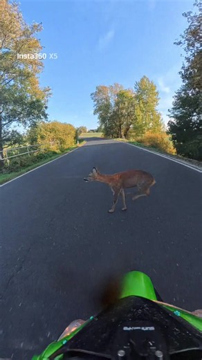 Pomalu se blíží konec moto sezóny a já si chtěla dát jízdu podle svých představ. 🏍️💚 No… moje jízda trvala 3 kilometry. 🥺😱 Plán nevyšel úplně podle představ🥺 Ale hlavní je, že já jsem v pořádku a Kawa se opraví. ❤️‍🩹 Sezóna tedy skončila trochu jinak, než jsem chtěla. Ale co… Kawa se spraví, já se oklepu a v nové sezóně vyrážíme znovu. 🏍️🔥💚#kawasaki #motolife #konec #srna
