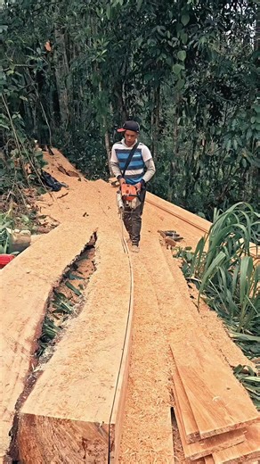 Unleashing Creativity with a Stihl Chainsaw in Woodworking