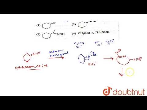 Caprolactam, a starting material for the manufacture of nylon 6, is prepared by sulhpuric acid