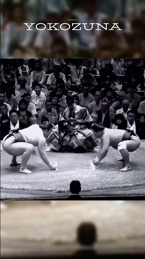 Legendary Yokozuna - Greatest Sumo of all time - Hakuhō Shō | #shortsfeed