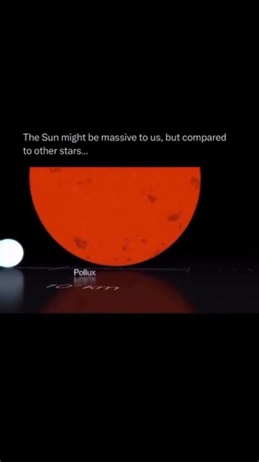 JUST HOW BIG IS THE SUN COMPARED TO OTHER STARS⭐ #planet #space #science