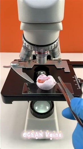 marshmallow under the microscope #edits#facts #cute 😊🥴💜💜